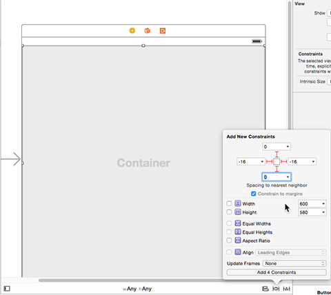 Container view and constraints